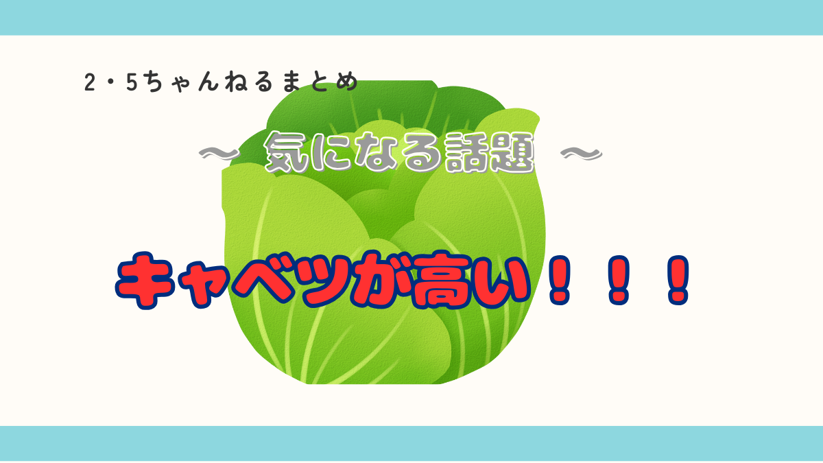 トンカツとキャベツの価値が逆転！【キャベツ高騰化】！！(´Д⊂ヽ